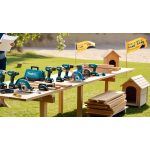 Dog Joy Day – Építs Kutyaházat!