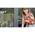 Dog Joy Day – Építs Kutyaházat!