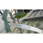 Karitatív Csapatépítés